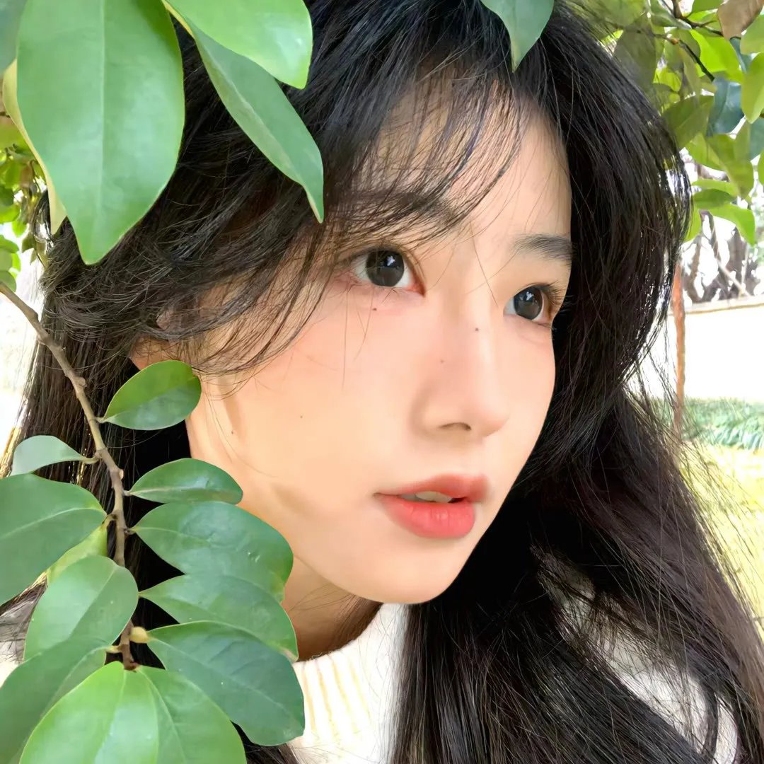 修复体